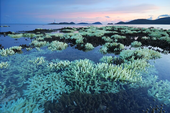 Private Tour Siao Liuchiu-Coral Island From Kaohsiung - Photo 1 of 6