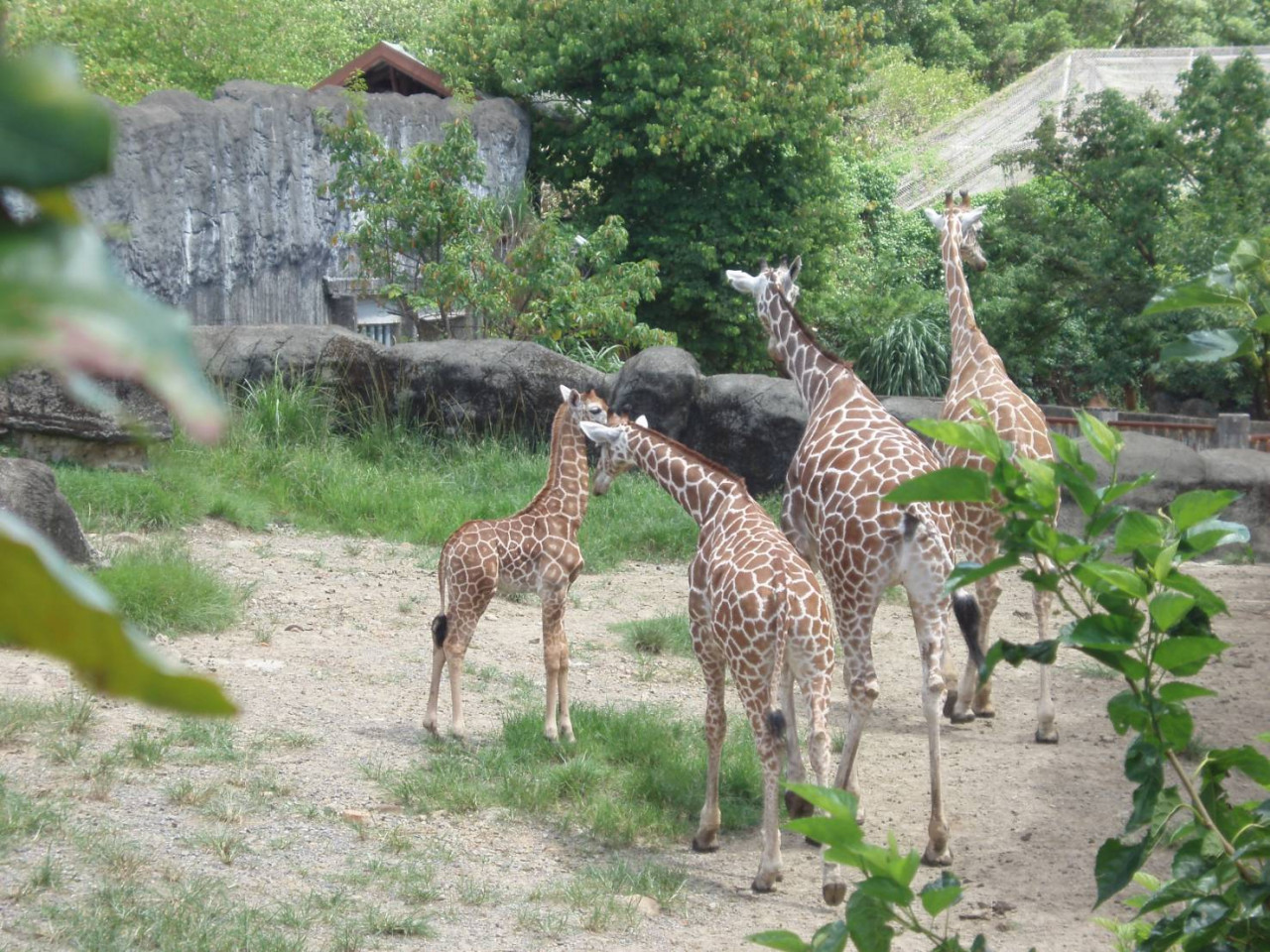 Taipei Zoo Entry Tickets - Photo 1 of 7