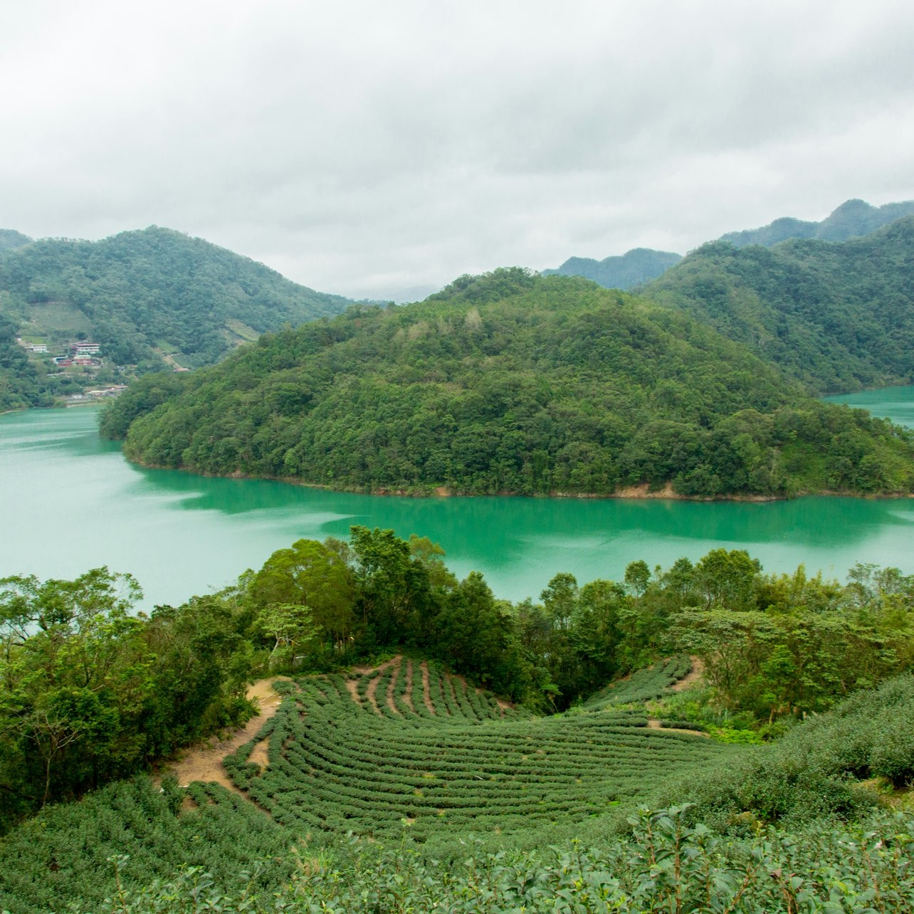 Thousand Island Lake & Pinglin Tea Plantation from Taipei - Photo 1 of 4