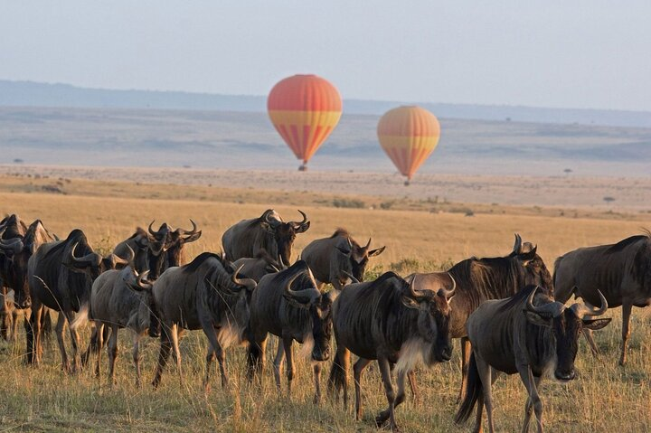 2 Days Enjoy Serengeti National Park with Balloon Safari - Photo 1 of 8