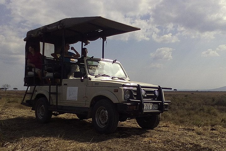 Game drives in Mikumi