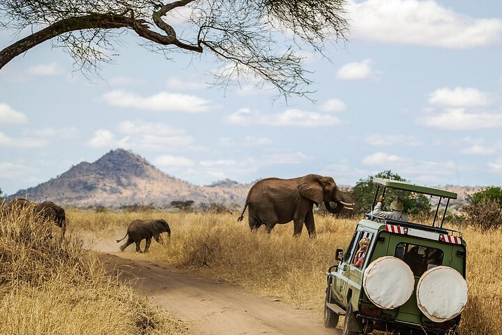 3 Days Ngorongoro & Serengeti Fly in Safari - Photo 1 of 7