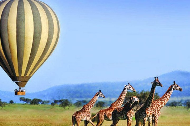 3-days Serengeti Balloon flight experience - Photo 1 of 15