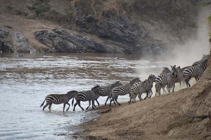 3 Days Serengeti National Park from Zanzibar - Photo 1 of 16