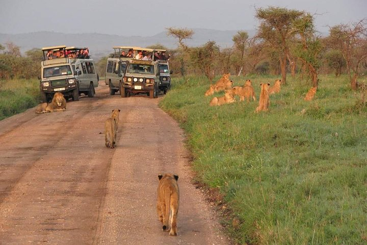 3days Tarangire,Ngorongoro Crater and lake Manyara  - Photo 1 of 9