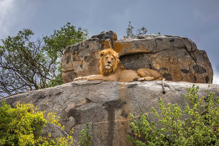 5 Days Budget Private Safari, Tanzania - Photo 1 of 10