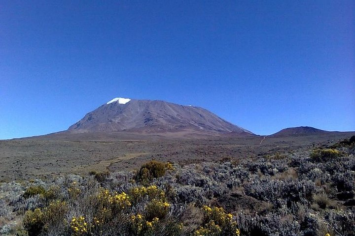 6 days Machame route From Arusha / Kilimanjaro  - Photo 1 of 9