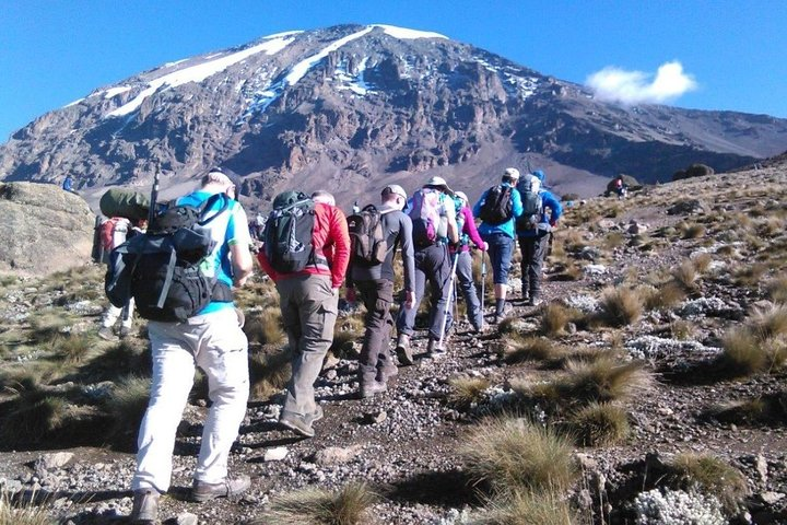 Mount Kilimanjaro Climbing