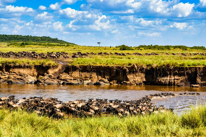 8-Day Grumeti Migration Safari-Luxury Tour May-July - Photo 1 of 7