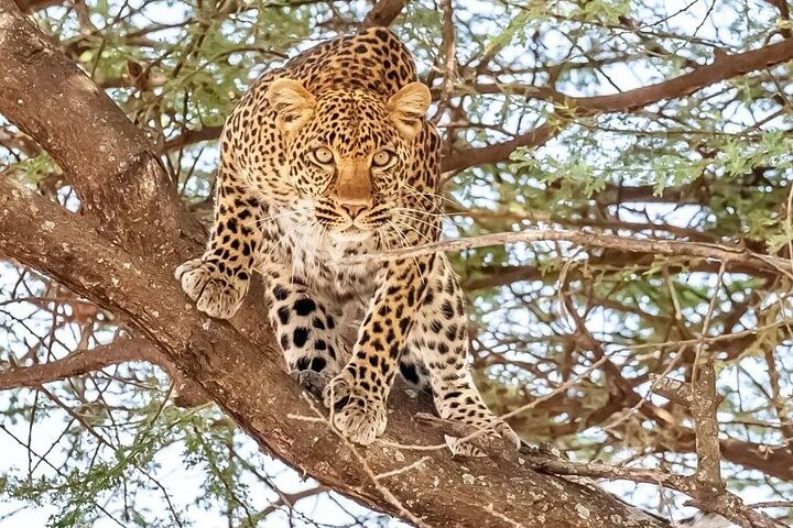 9 Days 8 Nights Walking Safari - Photo 1 of 22