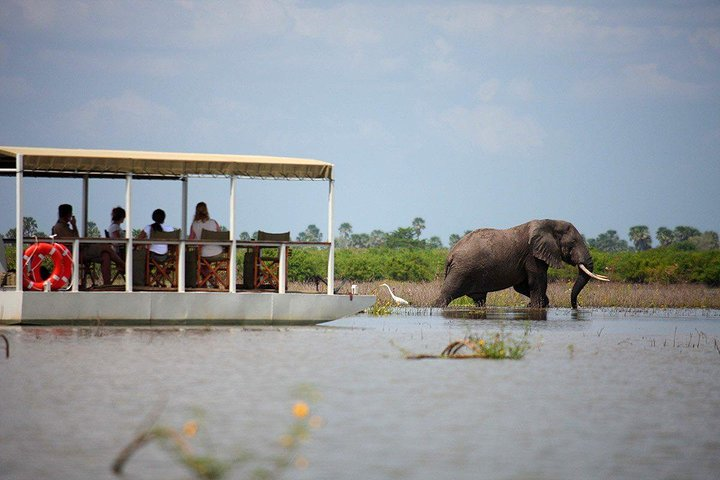 A Day Trip To Selous Fly From Zanzibar - Photo 1 of 15