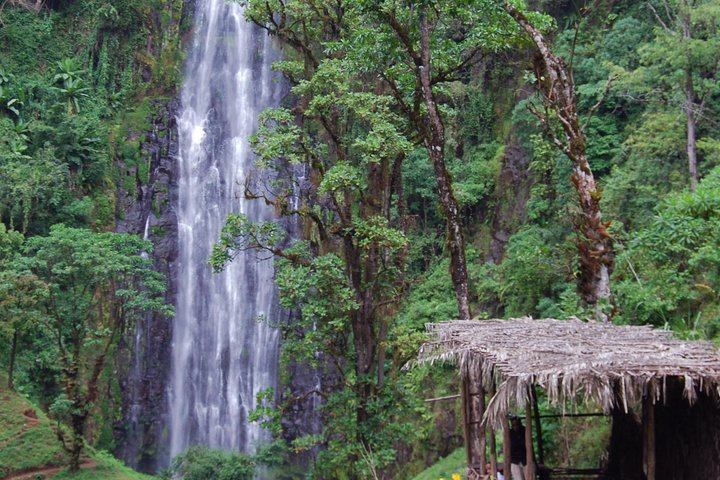 Day Trip Coffee Tour and Materuni Waterfalls - Photo 1 of 16