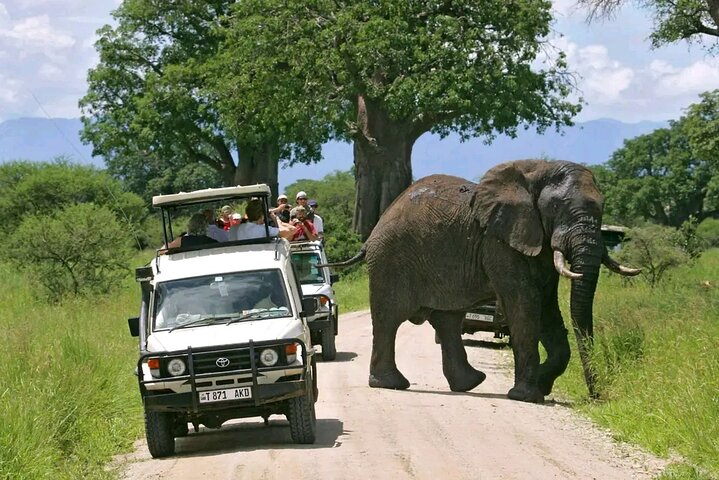 Day Trip Safari to Selous game reserve  - Photo 1 of 17