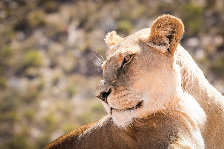 Day Trip to Selous Game Reserve from Zanzibar - Photo 1 of 6