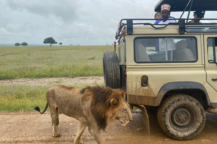 Discover the Beauty of Day Safari to Selous Game Reserve  - Photo 1 of 6