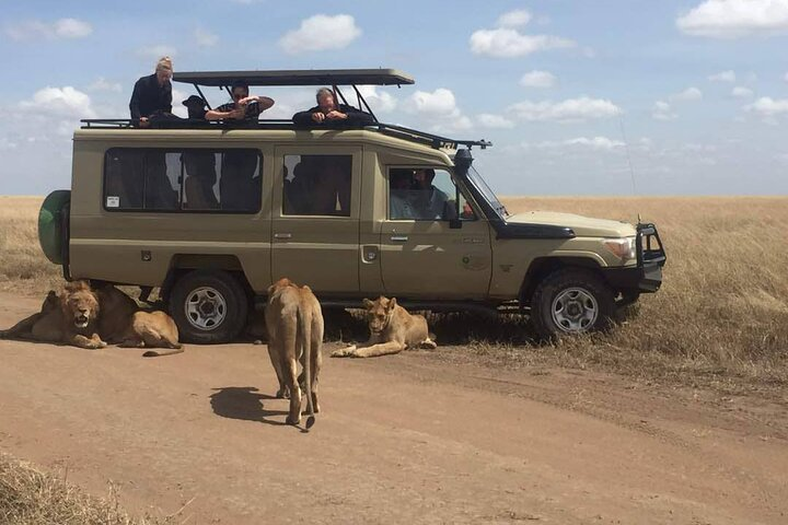 Full-Day Private Serengeti National Park Safari with Breakfast - Photo 1 of 6