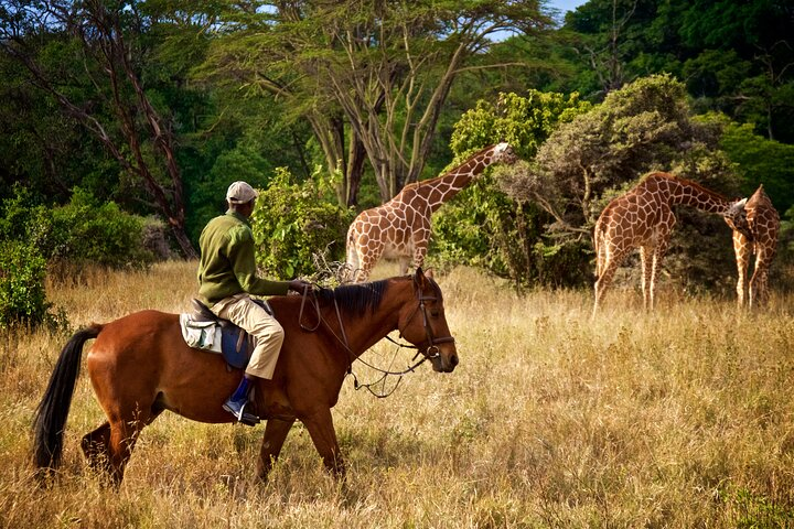 "Elegant trails by the lake: Experience Lake Duluti's beauty on horseback."