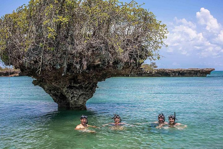 Snorkeling Safari Blue