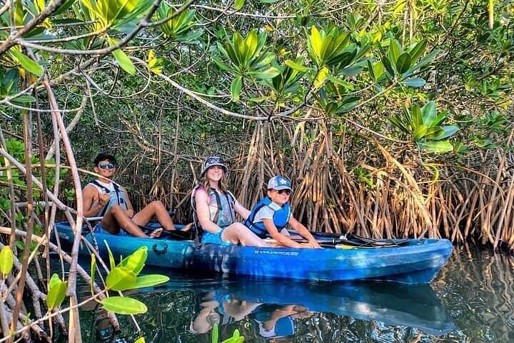 Half Day Private Kayak Tour and Kuza Cave Natural Swimming Pool - Photo 1 of 11