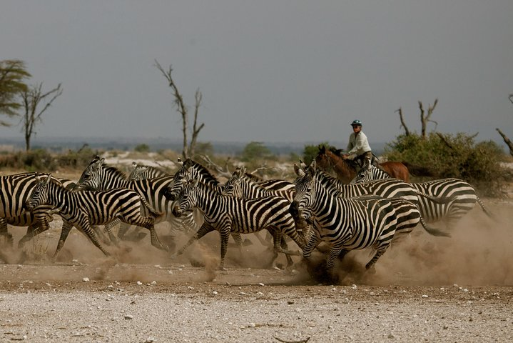 Horse safaris in Tanzania  - Photo 1 of 8