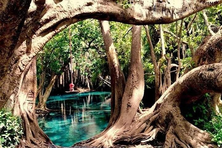 Kikuletwa hot springs 