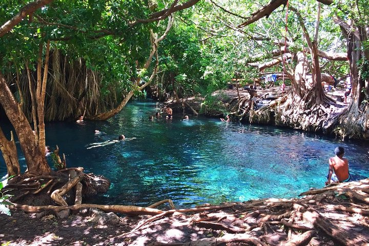 Kikuletwa Hotspring Day Trip - Photo 1 of 3