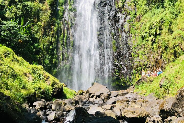 Materuni Waterfall, Coffee Tour and Picnic Hot Lunch  - Photo 1 of 7