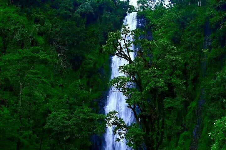 Materuni waterfall & coffee tour OR Chemka hot spring Tour - Photo 1 of 9