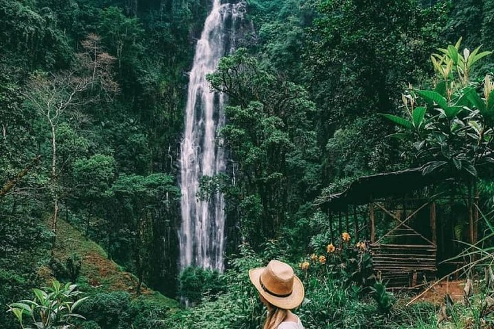 Materuni Waterfalls, coffee tour & Kikuletwa Hot Springs - Photo 1 of 12