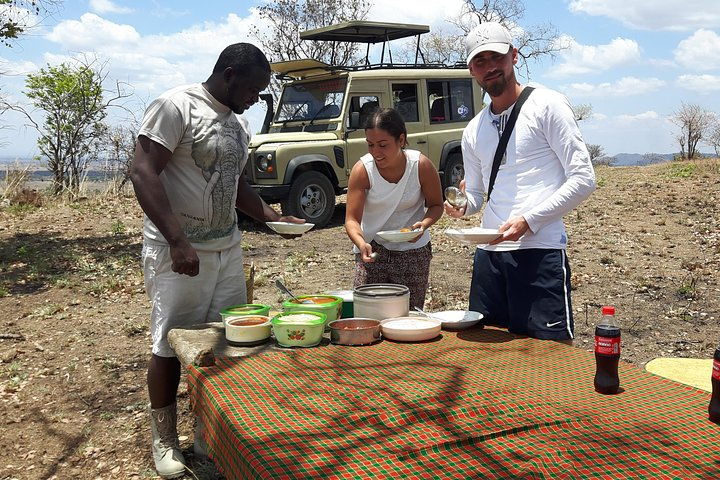 bush lunch in Mikumi national park