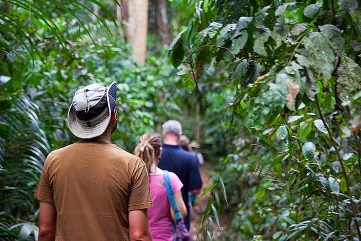 Ngezi Forest Tour - Photo 1 of 12