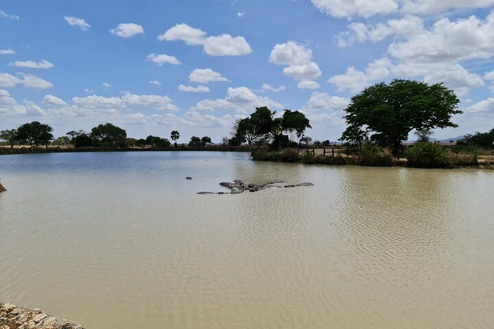 Nyerere Game Reserve: Boat Safari on the Rufiji River - Photo 1 of 4