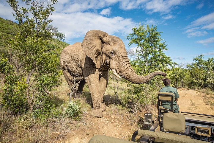 One Day Safari to Mikumi Departure from Zanzibar - Photo 1 of 4