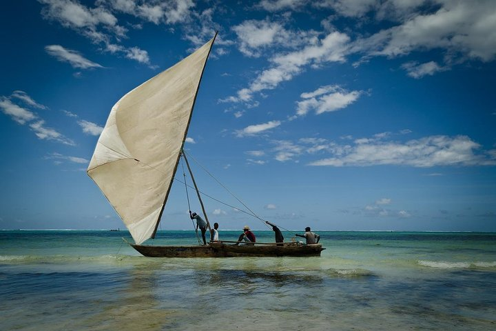 Pongwe Dhow Sailing - Photo 1 of 17