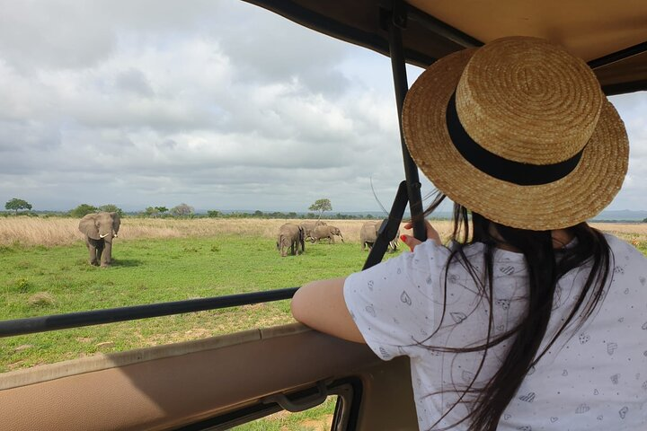 Mikumi National Park