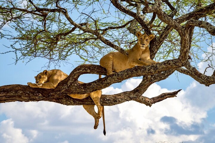 Private Fullday Pungume Island trip with Lunch Buffet - Photo 1 of 2