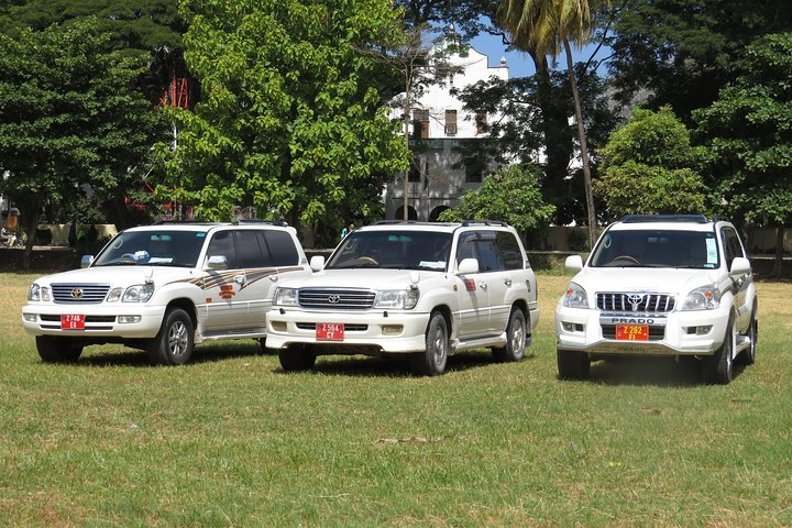 VIP Transfers Vehicle