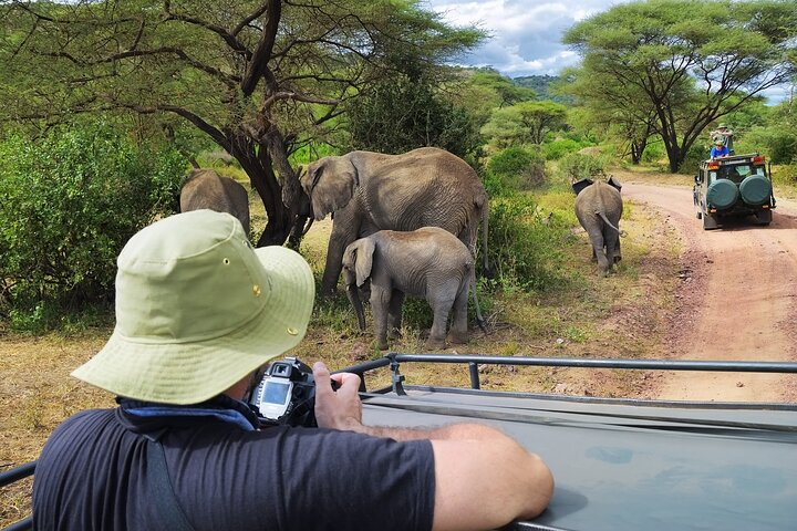 Serengeti & Ngorongoro fly in safari - Photo 1 of 11