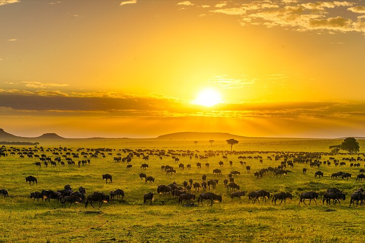 Sunrise, the magical Serengeti