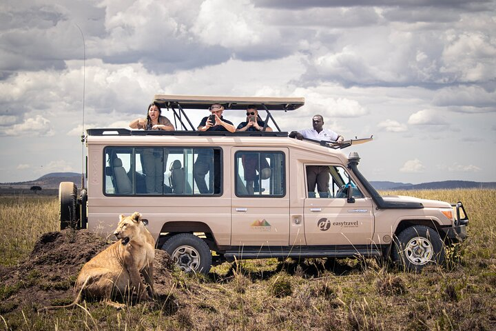 Greeting a lioness!