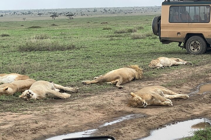 Turn on Village Water Taps with Luxury Safari-Exclusive Experienc - Photo 1 of 14