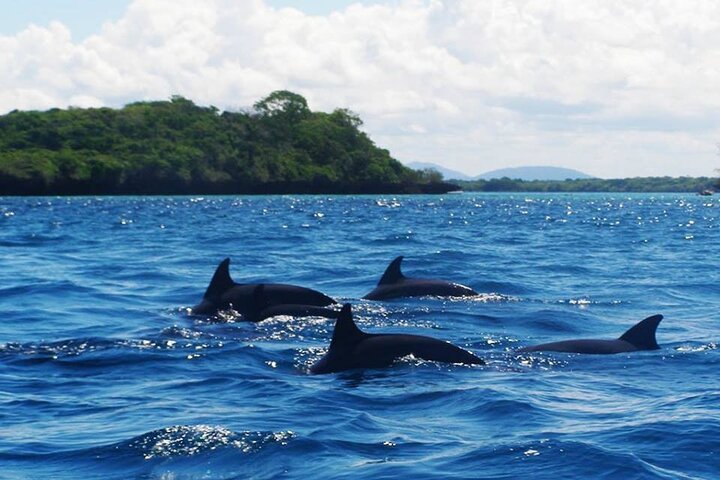 Zanzibar Full Day Mnemba Island, Nungwi and Kendwa Beach Tour - Photo 1 of 5