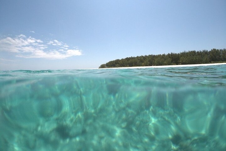 Zanzibar: Mnemba Snorkeling - Photo 1 of 4