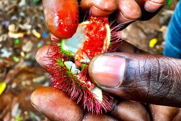 Zanzibar Spice Tour; Jozani Forest; Kuza Cave; Paje Beach; The Rock Restaurant