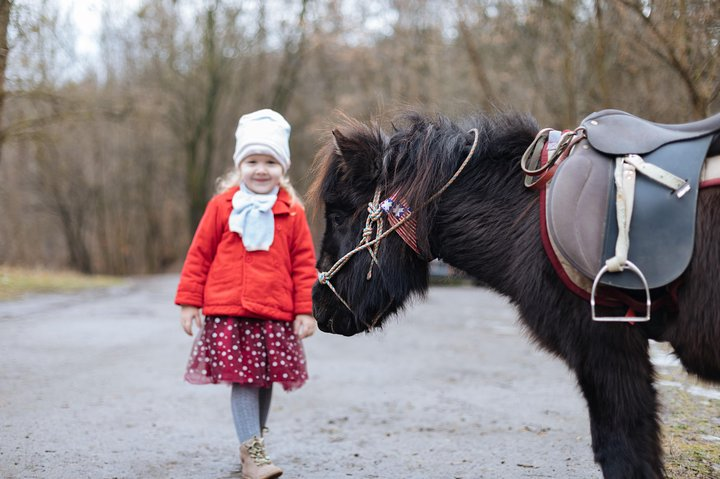 40 min of horse riding in Lviv city near the stable territory - Photo 1 of 6