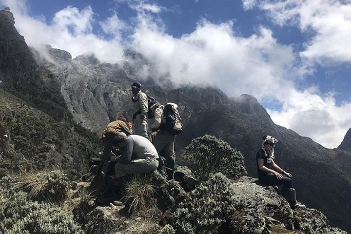 3 days Mountain Ruwenzori climbing in Uganda - Photo 1 of 7