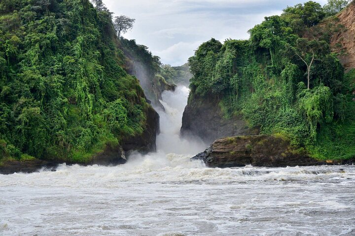 Mighty Murchison Falls