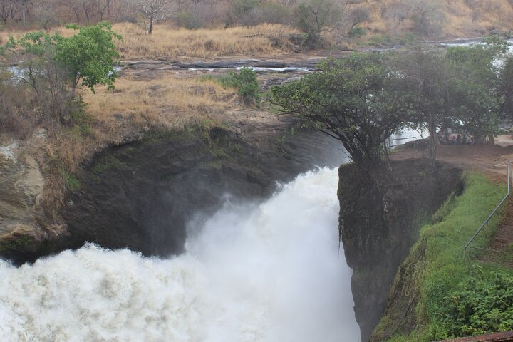 Murchison Falls Safari - 3 Days - Photo 1 of 25