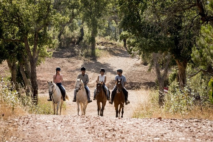 1.5 hr Horseback Riding Montevideo, Uruguay, with transportation - Photo 1 of 6