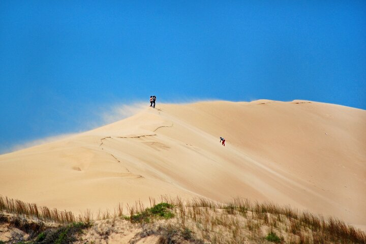 A Different Day in Cabo Polonio from Punta del Este - Photo 1 of 6